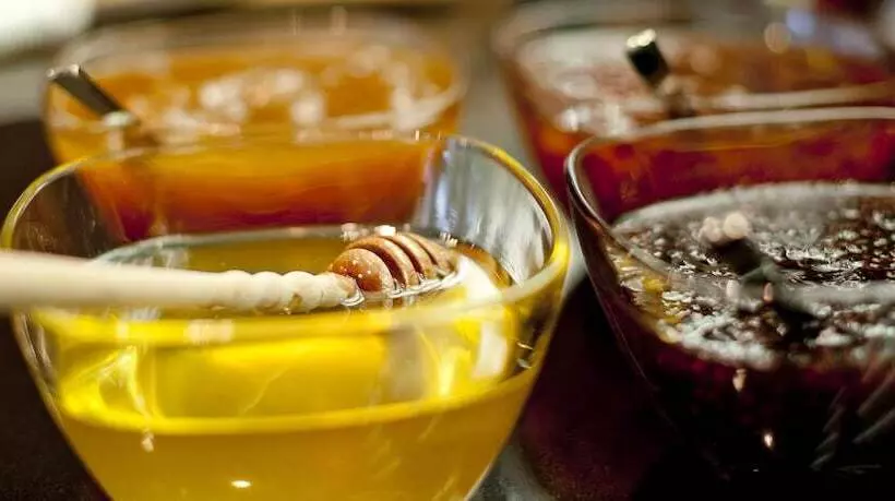 ホテル Abacus Business & Wellness