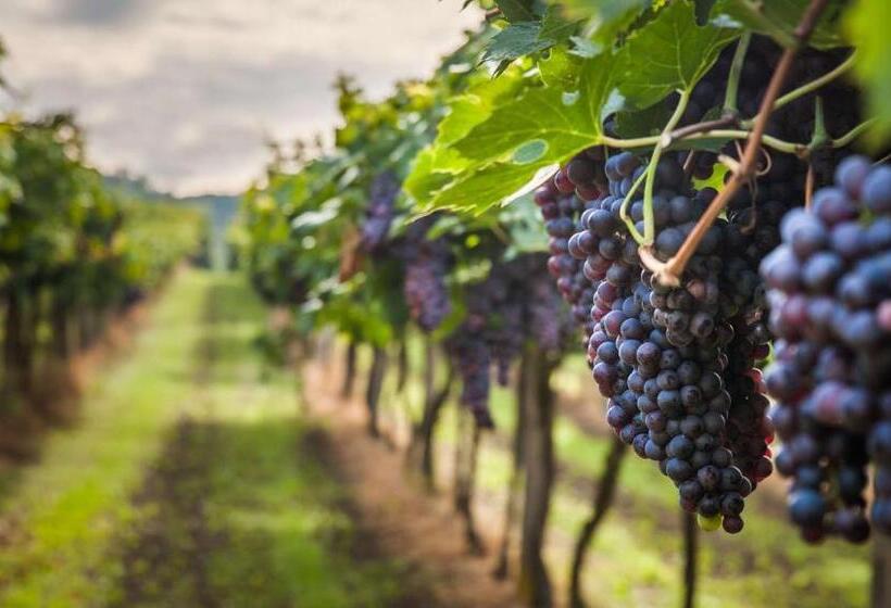 호텔 Royal Inn Rockville