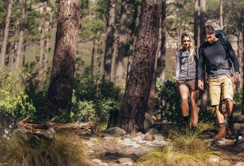 호텔 Royal Inn Rockville