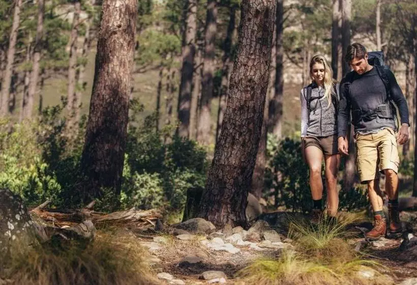 בית מלון כפרי Royal Inn Rockville