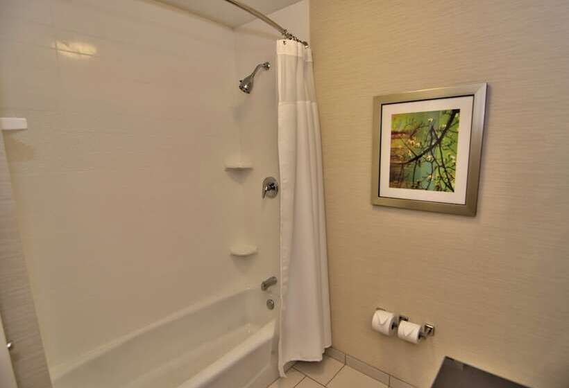 ホテル Fairfield Inn & Suites By Marriott Towanda Wysox