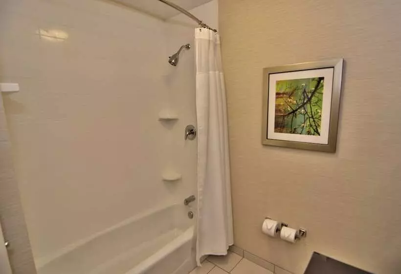 Отель Fairfield Inn & Suites By Marriott Towanda Wysox