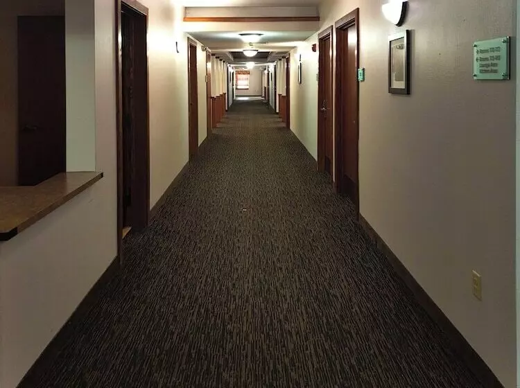 Roosevelt Hotel   Undergoing Improvements