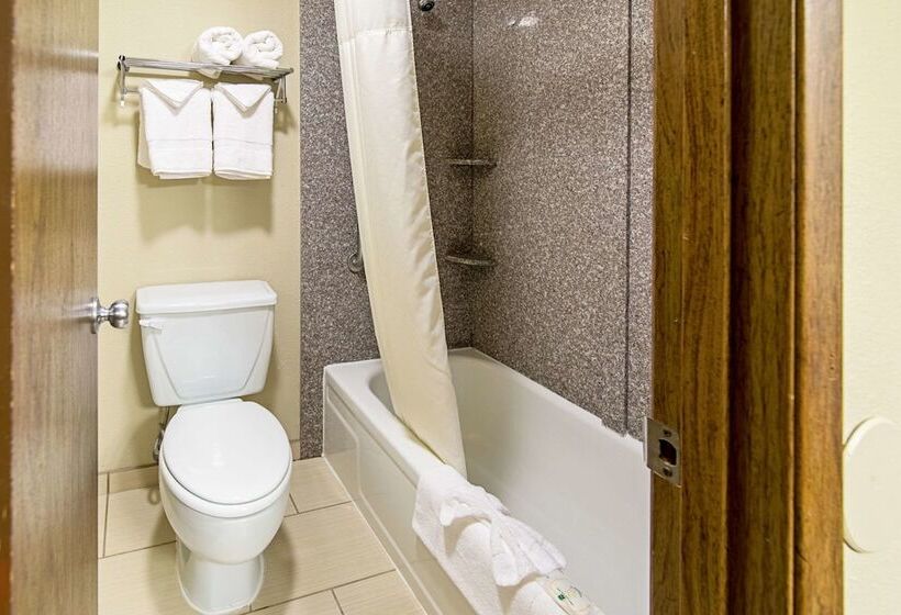 Roosevelt Hotel   Undergoing Improvements