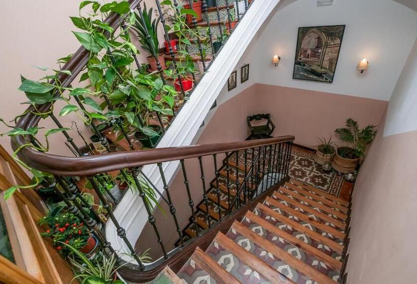 Los Balcones Del Camino