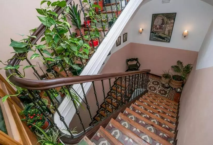 Los Balcones Del Camino