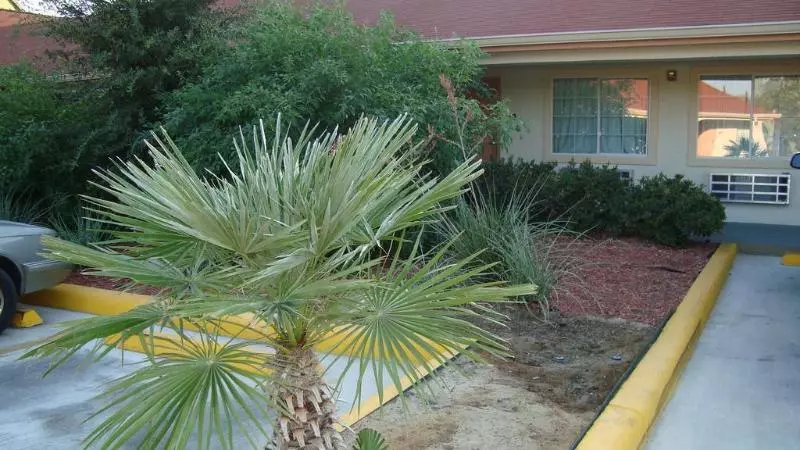 مُتل Winnquest Inn Near Ft. Sam Houston