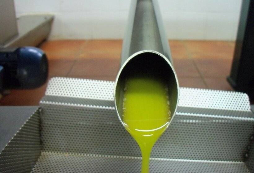 Agriturismo Il Colle