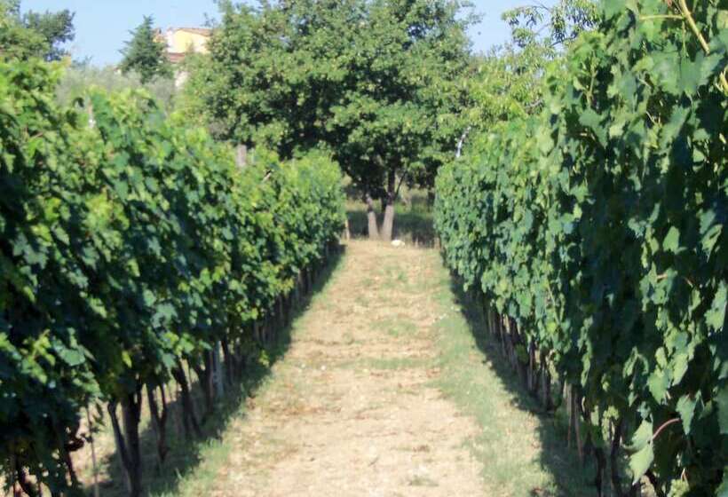 Agriturismo Il Colle