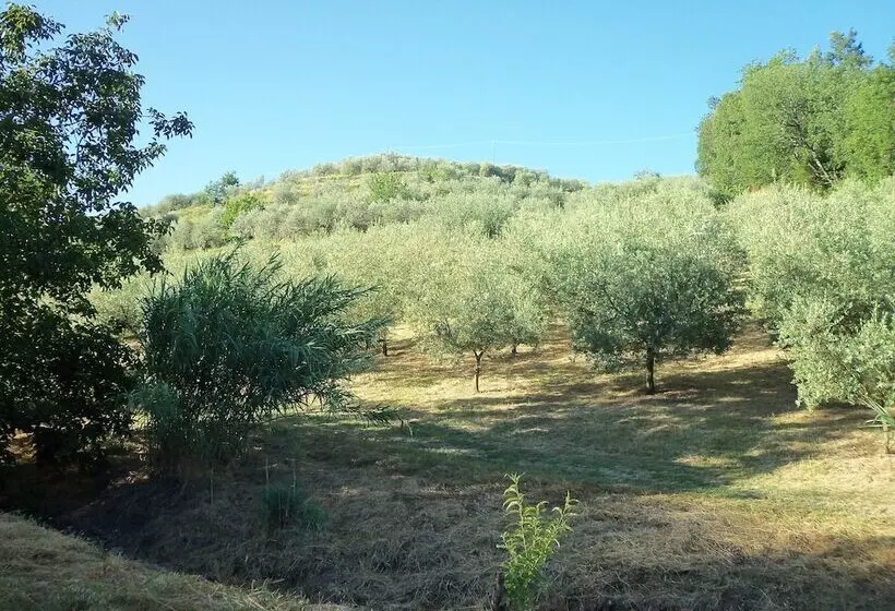 Agriturismo Il Colle