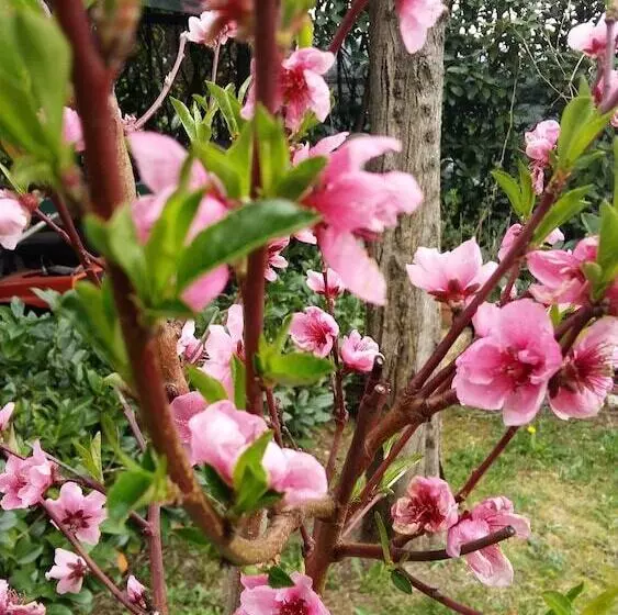 Agriturismo Il Colle