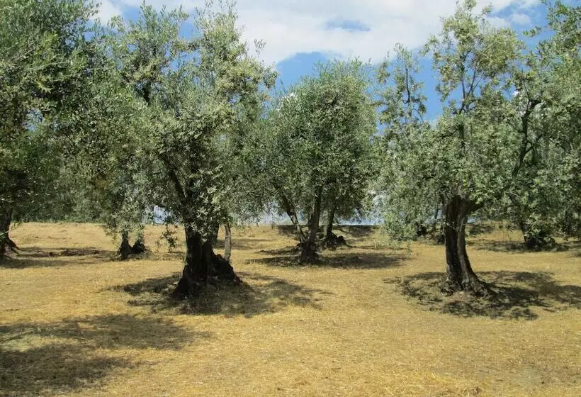 Agriturismo Il Colle