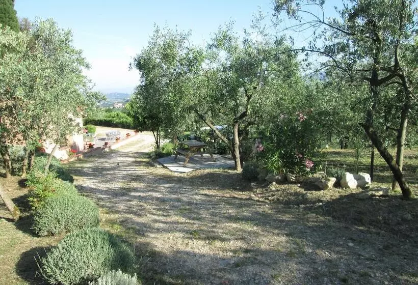 Agriturismo Il Colle