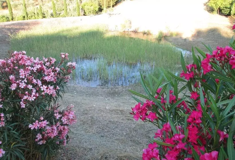 Agriturismo Il Colle
