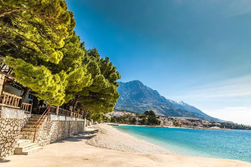 Bluesun Mala Berulia