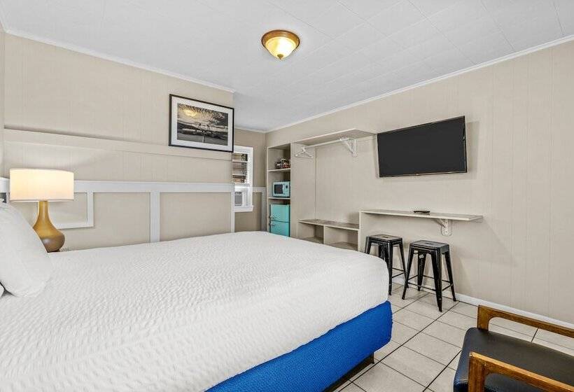 Dolphin Oceanfront Motel   Nags Head