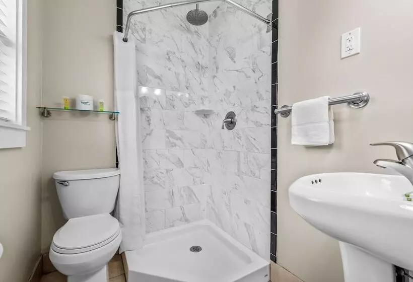 Dolphin Oceanfront Motel   Nags Head