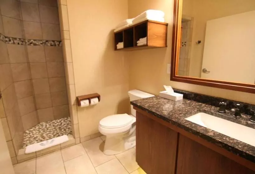 Hotelli C Mon Inn Billings