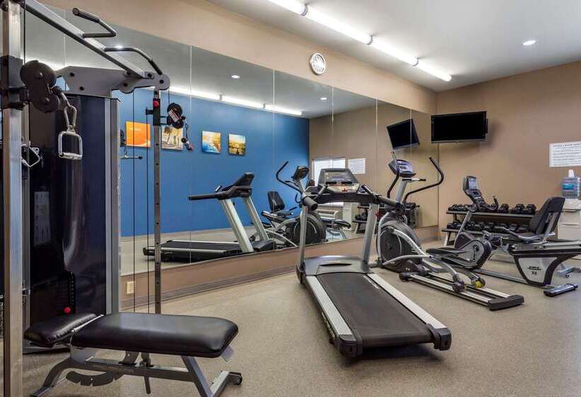 فندق Comfort Inn & Suites