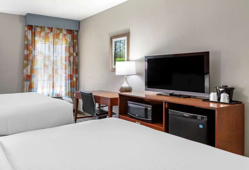 فندق Comfort Inn & Suites