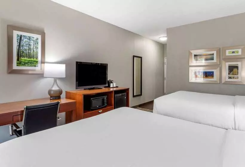 호텔 Comfort Inn & Suites