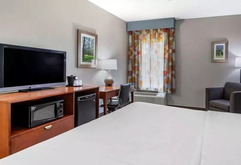 호텔 Comfort Inn & Suites