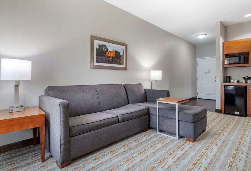 فندق Comfort Inn & Suites