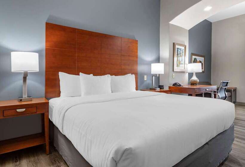 فندق Comfort Inn & Suites