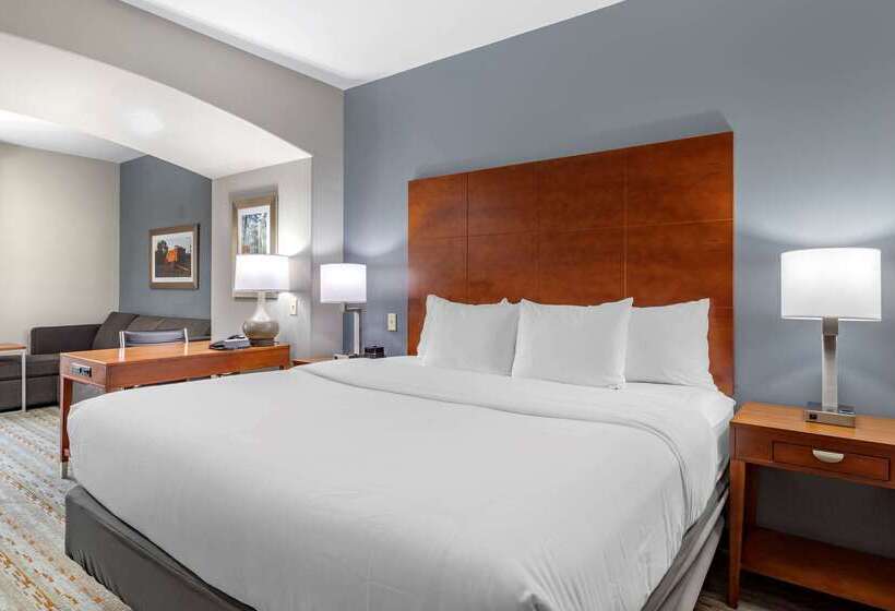 فندق Comfort Inn & Suites