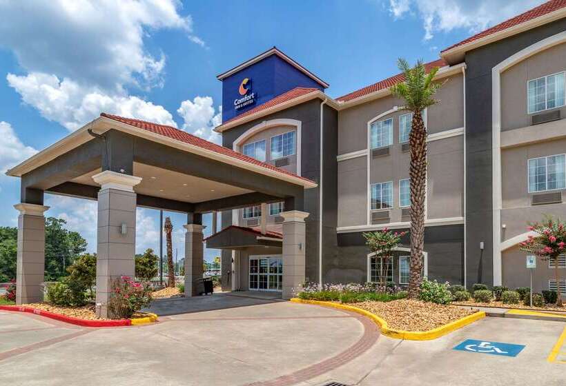 فندق Comfort Inn & Suites