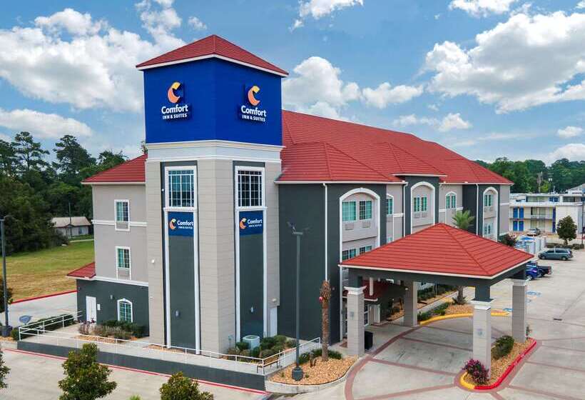 فندق Comfort Inn & Suites