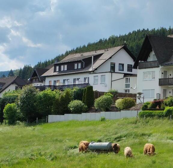 住宿加早餐  Pension Sauerland