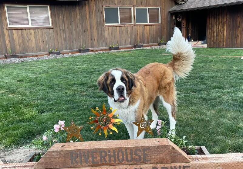 Пансион 1,000 Springs Riverhouse