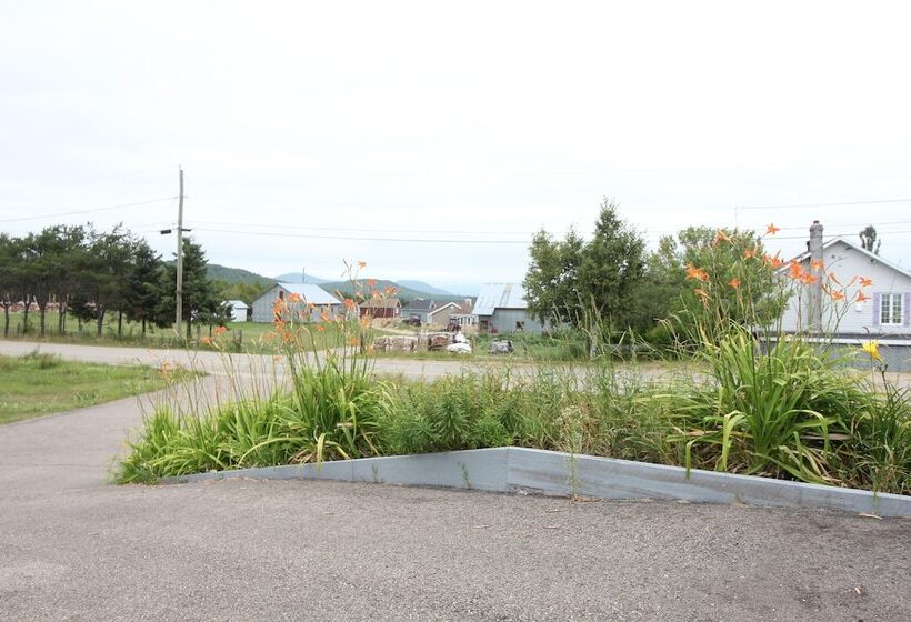 بنسيون Room In Guest Room Gandhi Very Large Room Decorated In Indian Style, Office Space And Sofa