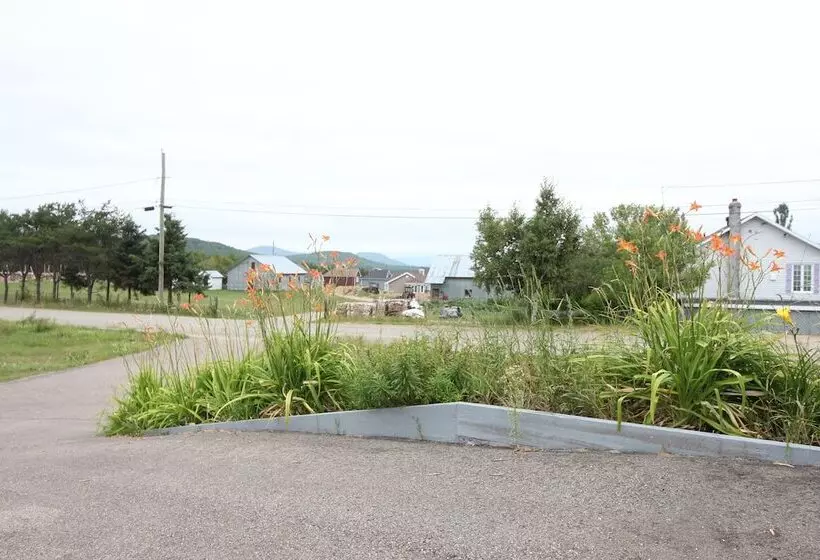 Majatalo Room In Guest Room   Gandhi Very Large Room Decorated In Indian Style, Office Space And Sofa