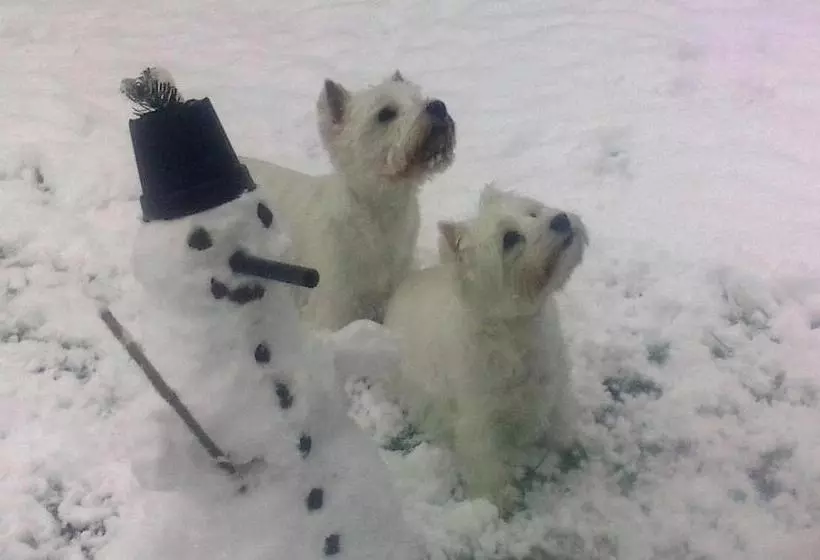 Alpenhotel Tauernstüberl