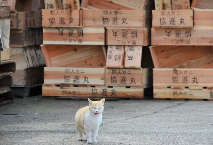 Aamiaismajoitus (B&B) Shorenkan Yoshinoya