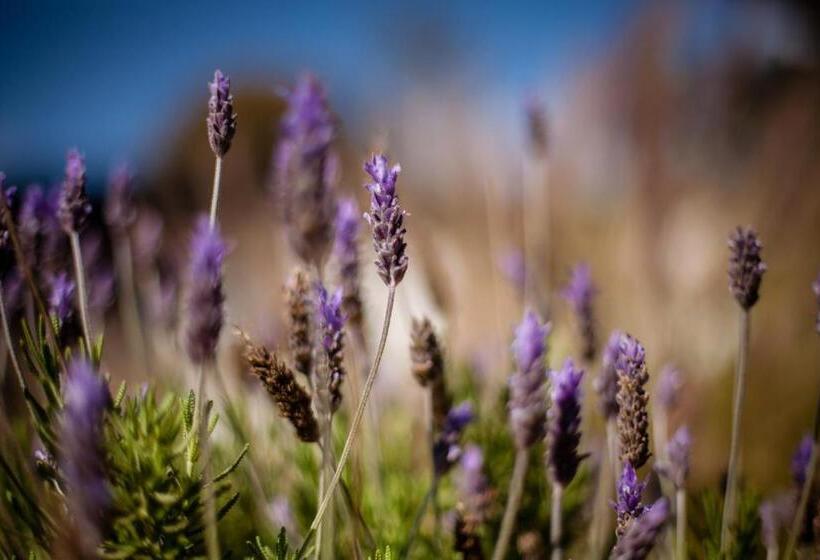 هتل Boutique Casadoca