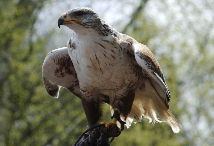 فندق Burg Rabenstein