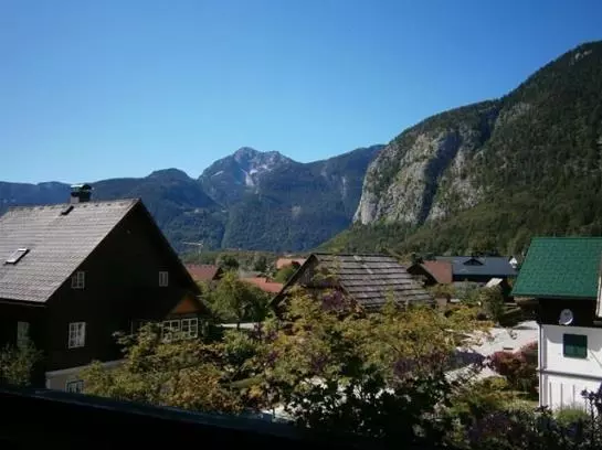 Отель Obertrauner Hof