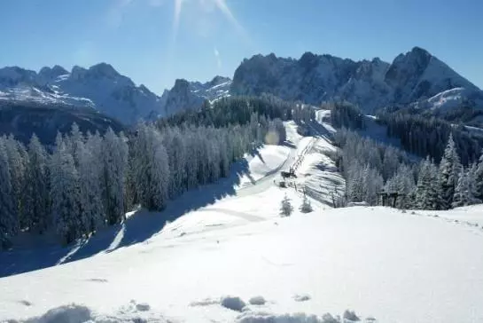 Отель Obertrauner Hof