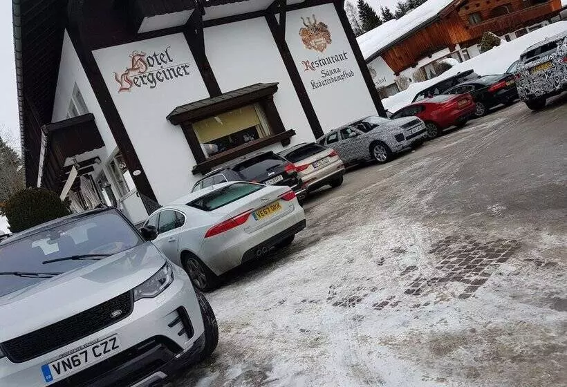 Отель Vergeiner