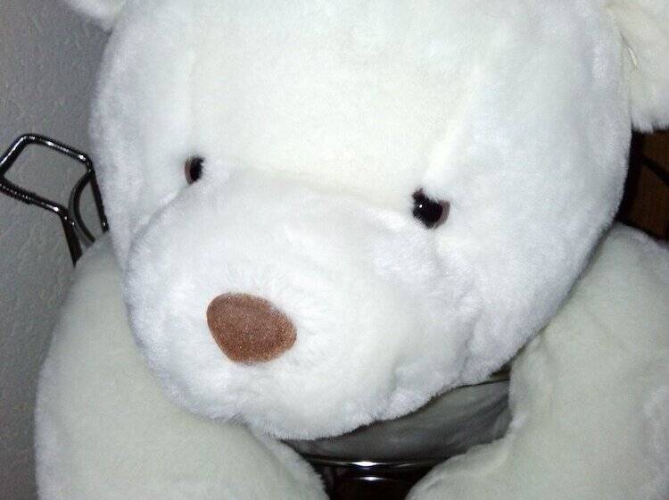 בית מלון כפרי Vergeiner