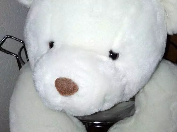 Отель Vergeiner