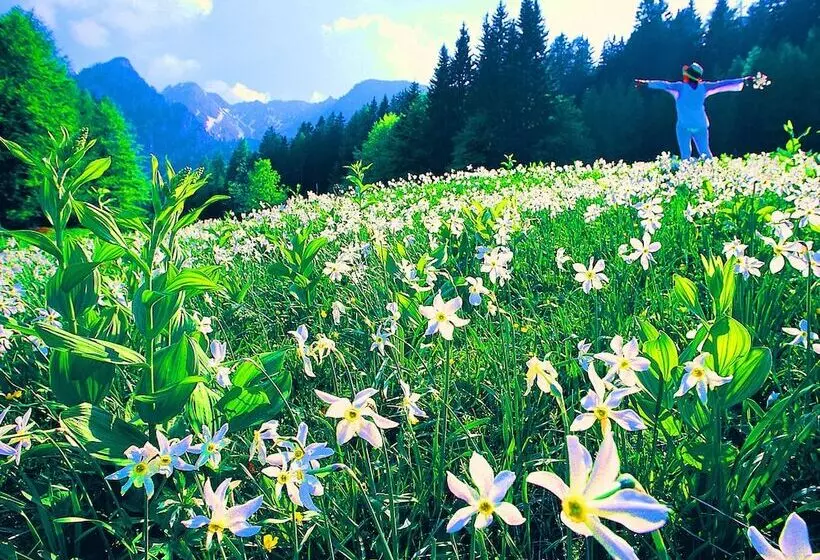 منتجع Barry Memle Directly At The Lake