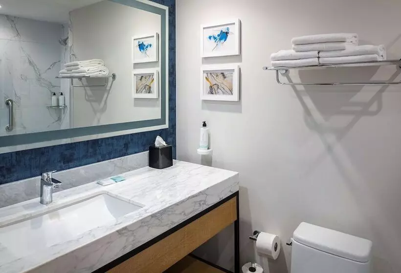 ホテル Hilton Garden Inn Cancun Airport