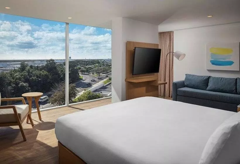 ホテル Hilton Garden Inn Cancun Airport