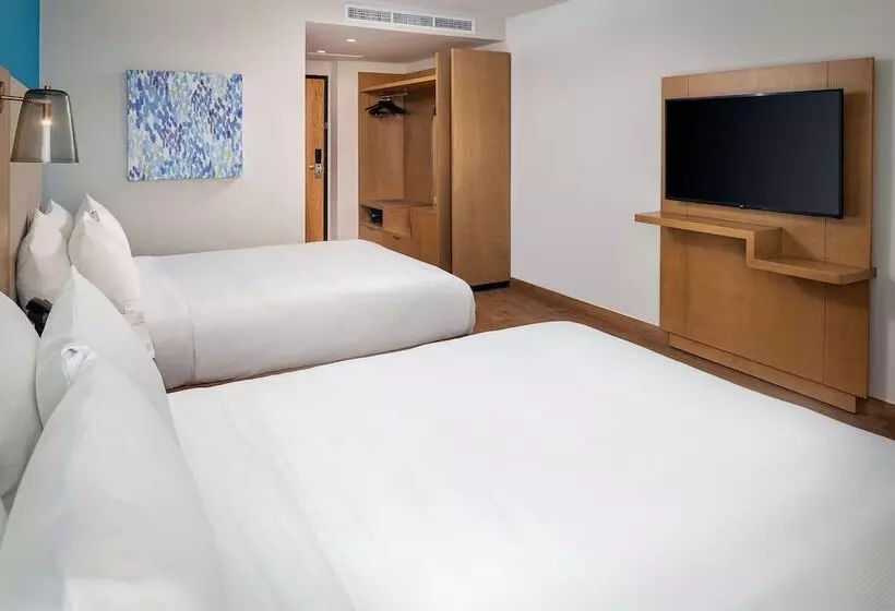 ホテル Hilton Garden Inn Cancun Airport