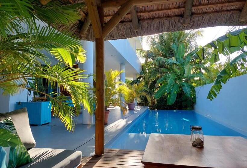 پانسیون Les Terrasses Du Bénitier