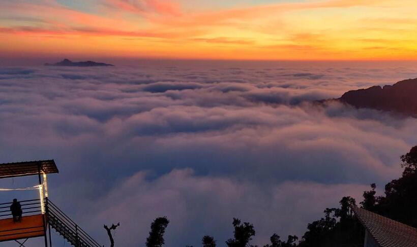 リゾートホテル Into The Wild Stays